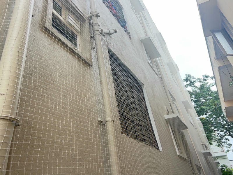 Building bird net installation